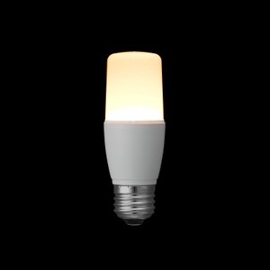 T形LED電球  60W形相当  E26  電球色 全方向タイプ LDT8LG