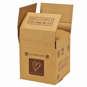 Cardboard Box Clear 20-pcs