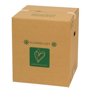 Flower Mail Box MS 15 Pcs Package Cardboard Box