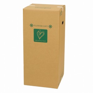 Flower Mail Box 10 pieces Package Cardboard Box