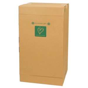 Flower Mail Box LL 5 Pcs Package Cardboard Box