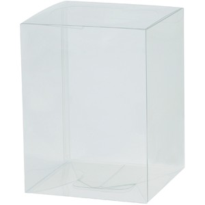 Clear Box 10 pieces Clear Case