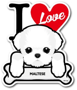 PET-036/MALTESE/マルチーズ/DOG STICKER ドッグステッカー 車 犬 イラスト アイラブ ペット