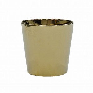 ソウバーポット D20．5 ゴールド プランター 鉢 ガーデニング インテリア グリーン
