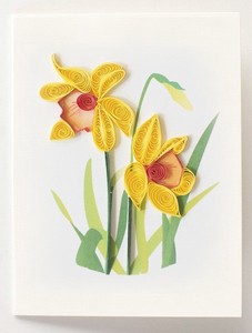 Daffodil ギフト プレゼント グリーティング カード