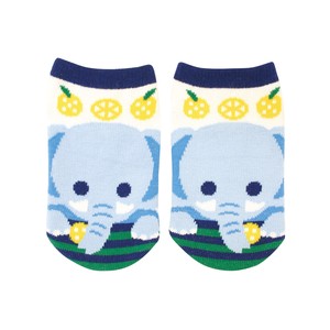Kids' Socks Spring/Summer Socks