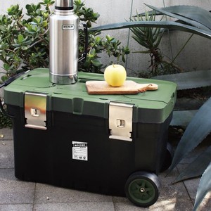 molding TRUNK BOX CART 67L with Casters