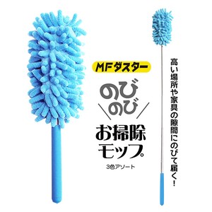 Broom/Dustpan M