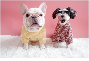 【ペット用品】 ドッグウェア あったかセーター 赤 黄 グレー カワイイ ペットの服 ペット服
