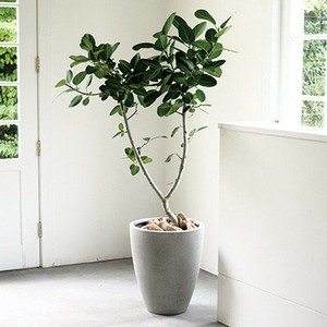 【植木鉢／ファイバーセメント製】スタウト　アッシュミドル　36cm