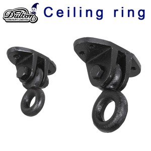 CEILING RING