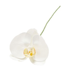 MAGIQ　蘭アミュゼファレノ＃1　WHITE　造花