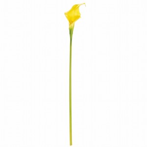 【セール品】MAGIQ　ヴィンセントカラー　S＃4　YELLOW　造花
