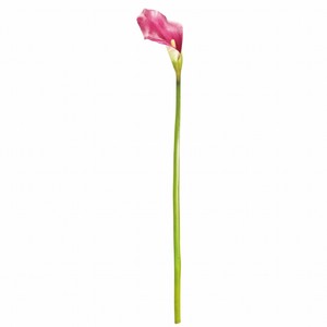 【セール品】MAGIQ　ヴィンセントカラー　S＃16　BEAUTY　造花