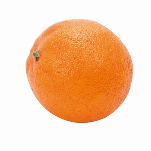 【セール品】MAGIQ　オレンジ　ORANGE　フェイクフード