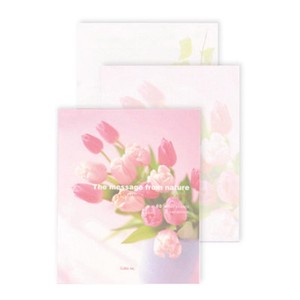 フォトセレクション　レターパッド　（チューリップ）　花/植物　日本製