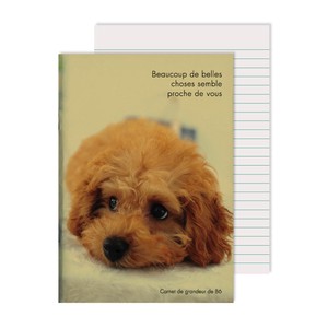 6 Notebook Photo Toy Poodle Made in Japan
