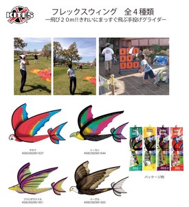 Flex Glider Kite 4 Types