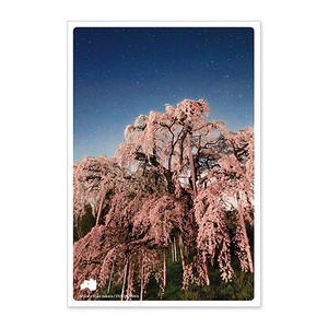< 春ポストカード >日本の絶景ポストカード JPC-73 三春滝桜