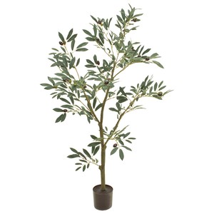 【セール品】MAGIQ　オリーブツリーポット　4FGREEN　鉢植え　観葉植物　インテリアグリーン