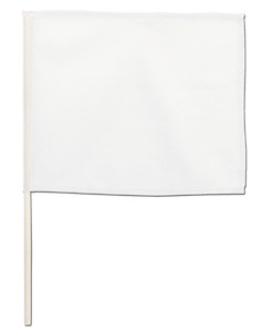 Education/Craft Mini White Colorful Flag