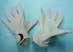 Prevention Glove SP