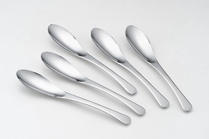 Spoon 5-pcs set Made in Japan