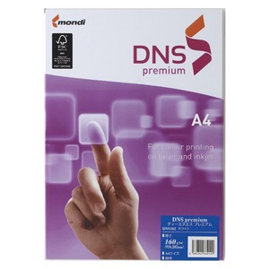 伊東屋 DNS premiumA4 160g DNS102