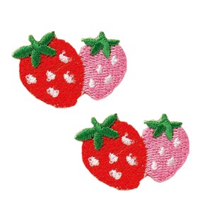 Patch/Applique Series Strawberry Patch