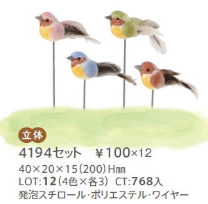 バラエティバードピック　小鳥