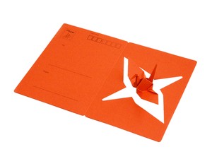 Greeting Card Message Card Orange