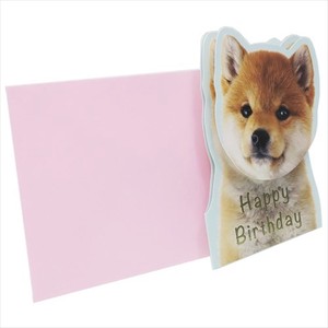 Greeting Card Shiba Dog Cat Dog