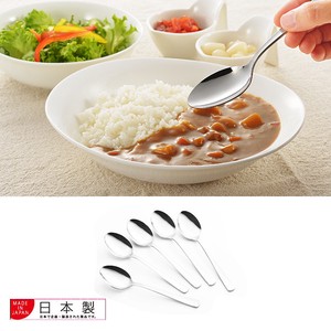 Curry Spoon Set Of 5