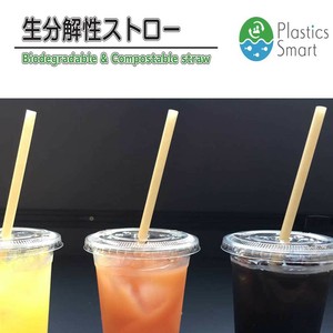 生分解性ストロー　biodegradable straw