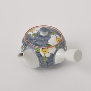 HASAMI Ware White Flower Japanese Tea Pot Tea Strainer Attached Hand-Painted Made in Japan