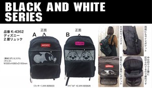 Backpack Desney 2-layers