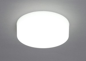 【アイリスオーヤマ　照明　家庭照明】　LED小型シーリングライト メタルサーキットシリーズ1200lm　昼白色