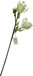 ＜価格改定＞Sola Flower Stem ソラフラワーステム Magnolia Blossom マグノリアブロッサム