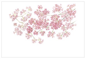 テーブルマット　尺3　桜満開