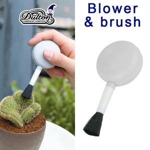 Blower & brush