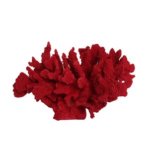 赤サンゴ オブジェ 置物 インテリア マリン　AN-74995
