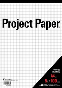 Project Paper