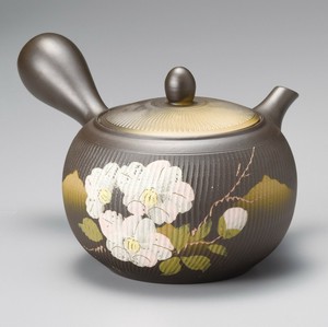 Tokoname ware Japanese Tea Pot 3-go