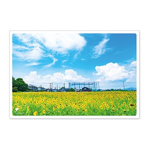 < 夏ポストカード >日本の絶景ポストカード JPC-78 佐賀市ひょうたん