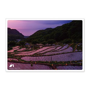 < 夏ポストカード >日本の絶景ポストカード JPC-79 石部の棚田