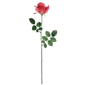 Shell Rose rose Artificial Flower Flower