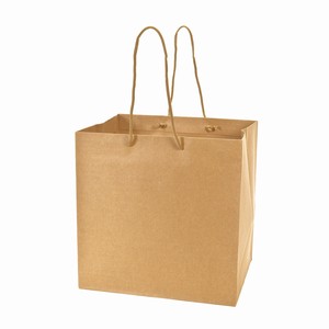 【セール品】アレンジバッグM　未晒　5枚入　紙袋　フラワーアレンジメント　手提げ袋　店舗用資材