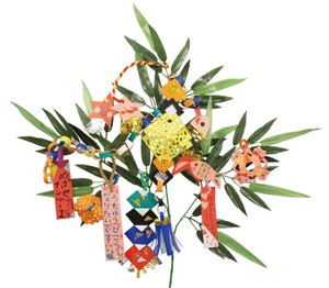 Tanabata Set