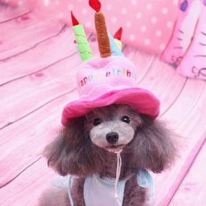 用お誕生日パーティ帽子 犬帽子 ハッピーバースデーハット バースディ【F808】