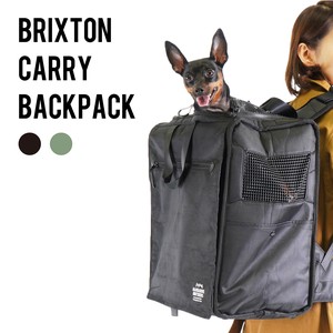 BRIXTON CARRY BACKPACK / ブリクストンキャリーバッグ